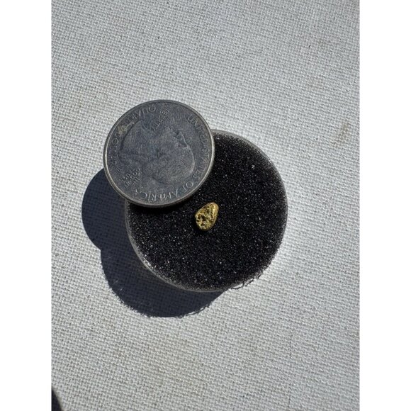 Gold Nugget - Grass Valley, California - 0.20 grams - Picture 3 of 5